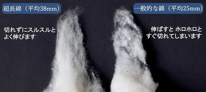image 31 - 超長綿とは｜綿の特徴や番手、単糸/双糸の解説から繊維長、生地ブランドまで
