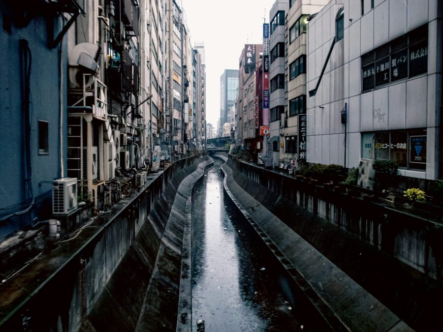 都内の川の画像。雨が降って濁っているのが確認できる。